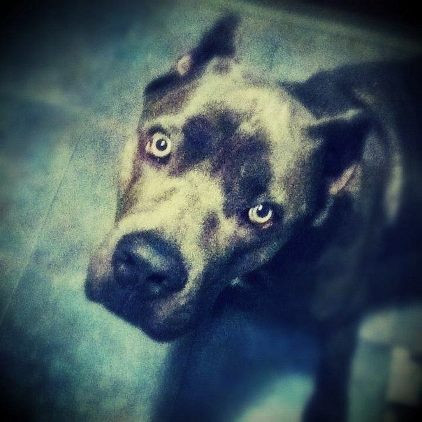 Стас Фёдоров | Челябинск