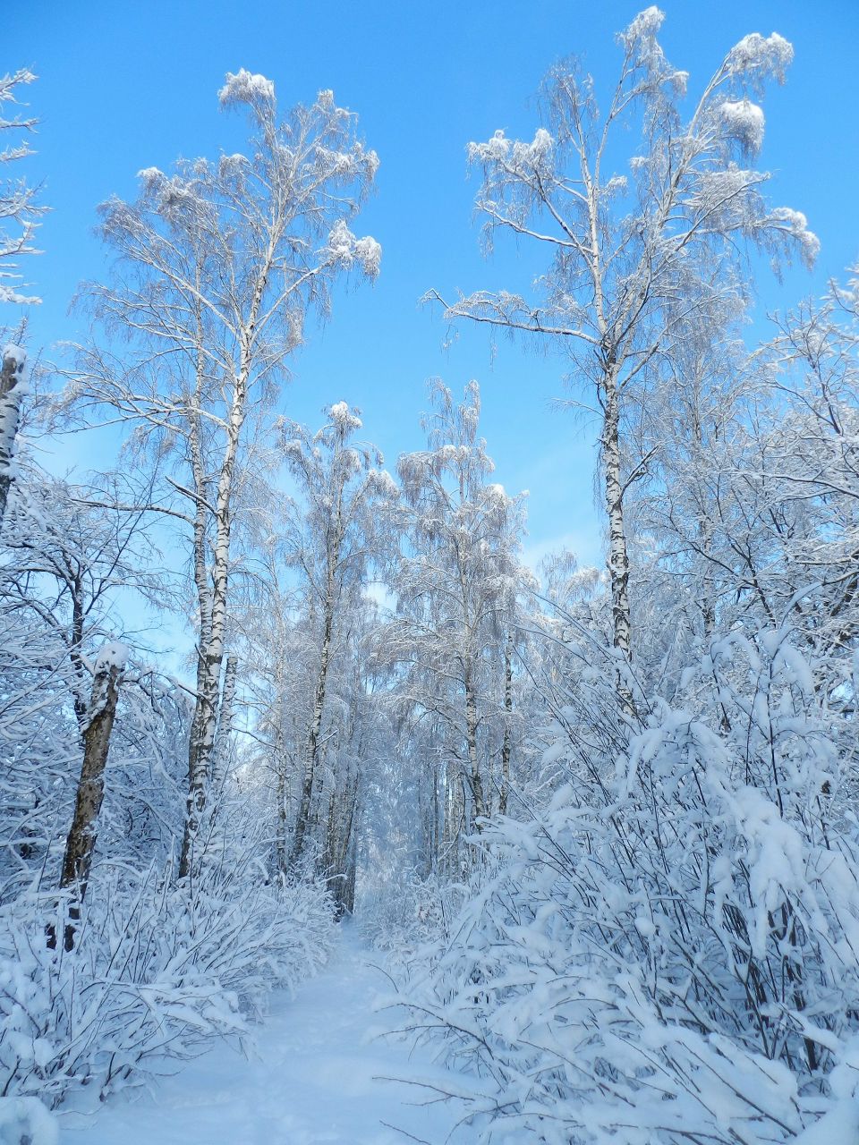 Eugene Ratzinoff | Санкт-Петербург