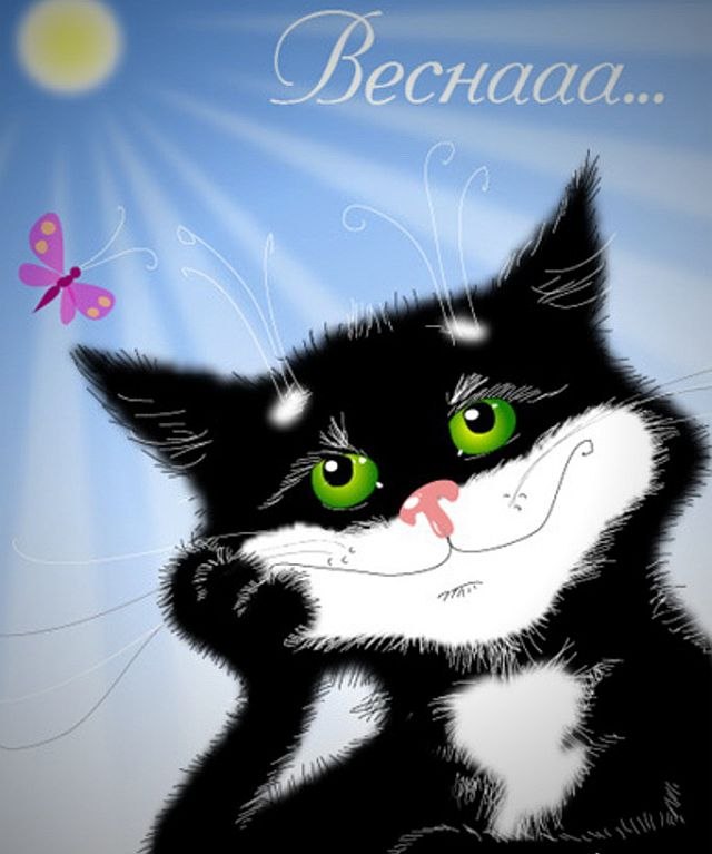 Иван Баженов | Саяногорск