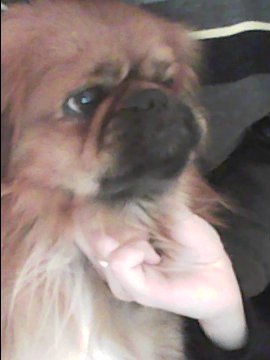 Олег Богдан MdK [DNB UA promo] | Херсон