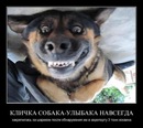 №26 Дмитрий Филипчев