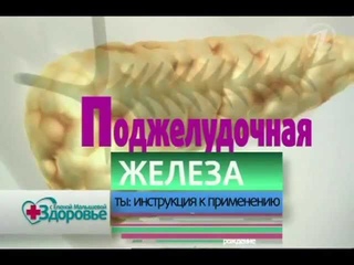 Как ухаживать за поджелудочной железой.flv