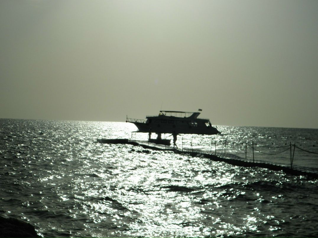 Зоя Мартынюк | Одесса