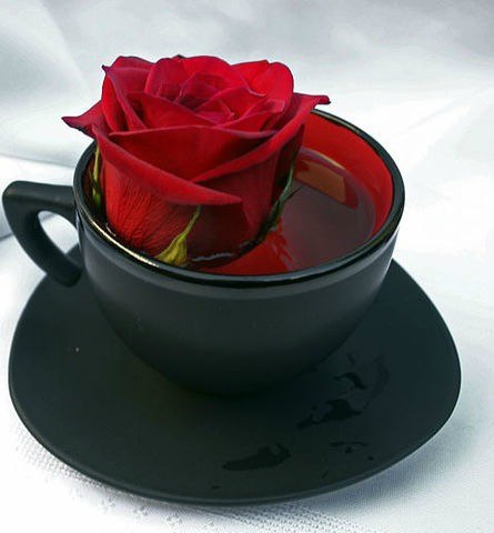 Наталья Кузяева | Москва