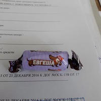 Евгения Михайлова