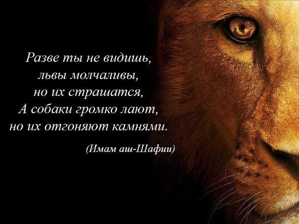 Арсен Магомедов, Россия, Москва