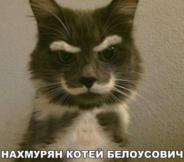 Григорий Балабко, Россия, Санкт-Петербург