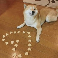 Китайский Кексик