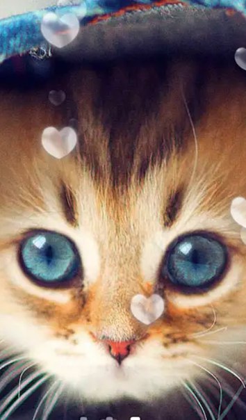 Иванна Соловьева, Россия, Москва