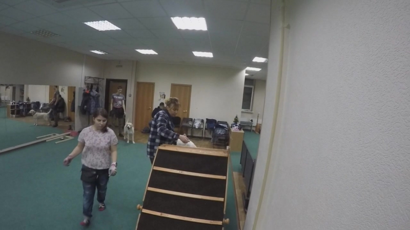 Школа дрессировки Best