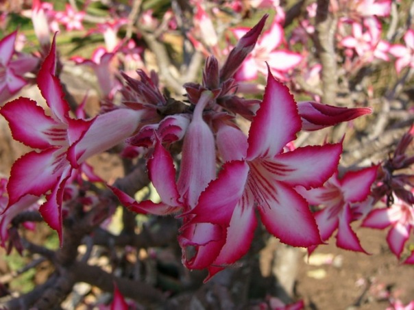 №40, Мария Гореликова, Москва №40, Мария Гореликова, Москва