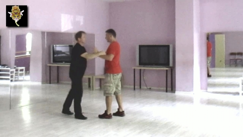 DRAGON BUTTERFLY CLUB DAI SIFU SERGEI SHELESTOV FAMILY STYLE SPONTANEITY REPOSE IN MOTION IMPROV TRAINING
