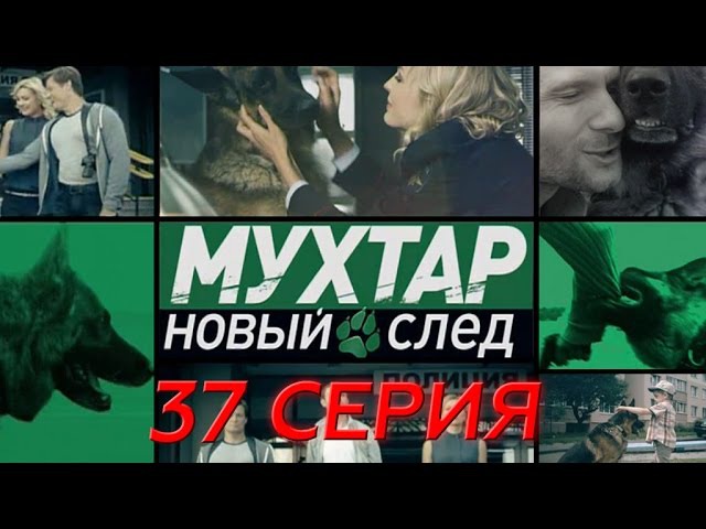 "Мухтар. Новый след". 37 серия. "Коллекция"