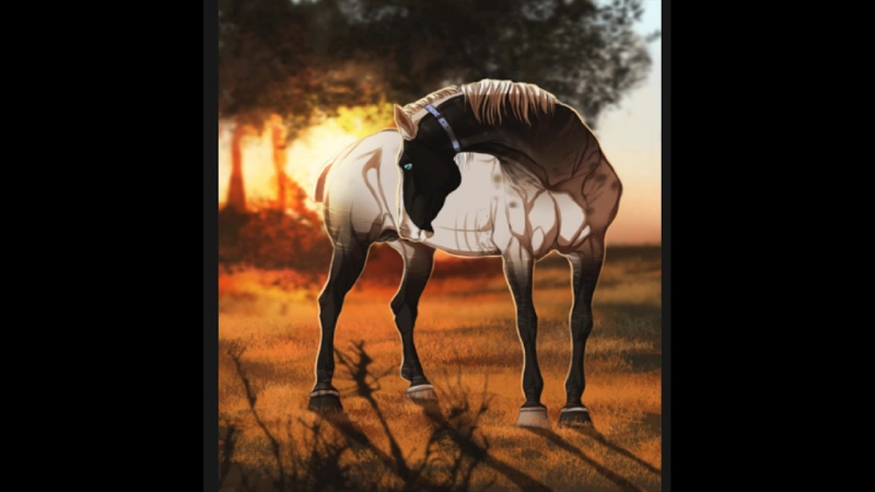 speedpaint horse, 2