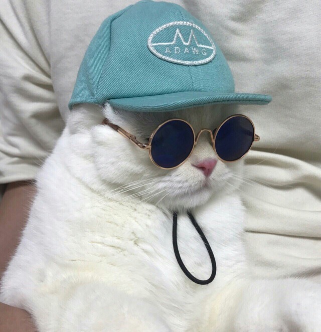 B_r2kR9AJR4.jpg