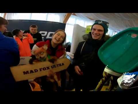 Это Mad Fox