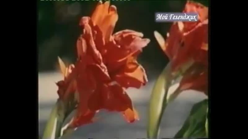 Геленджик