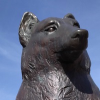 Серёга Глущенко