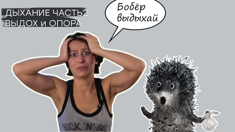 бобры демотиваторы. бобер выдыхай прикол. выдыхайте бобры. выдыхай бобер анекдот. анекдот про бобра.