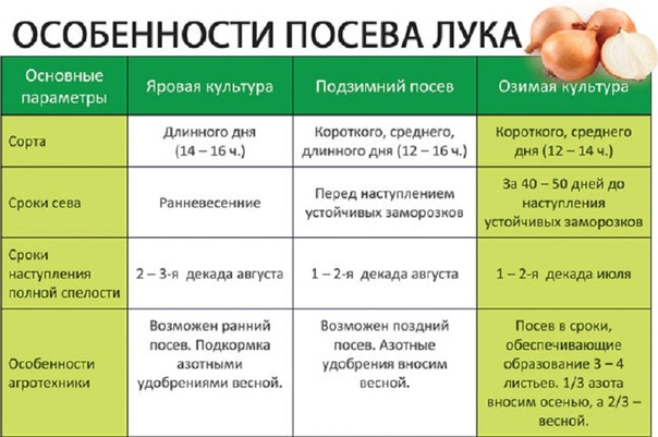 САЖАЕМ ЛУК ПОД ЗИМУ Лук, как и многие культуры сажают под зиму. Такой способ посадки имеет массу преимуществ. Вам не надо будет искать подходящее место для хранения лука-севка. Всходы лука будут