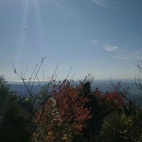 Марина Аргун