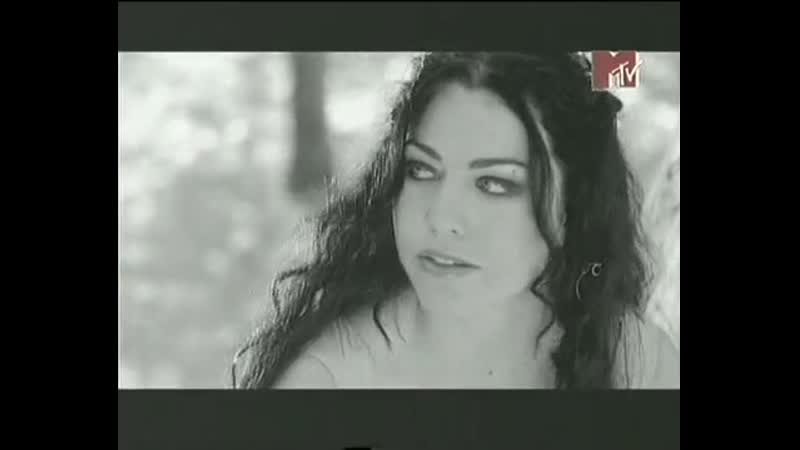Evanescense My