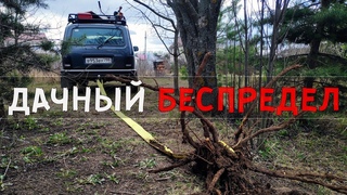 БЕСПРЕДЕЛ и НИВА