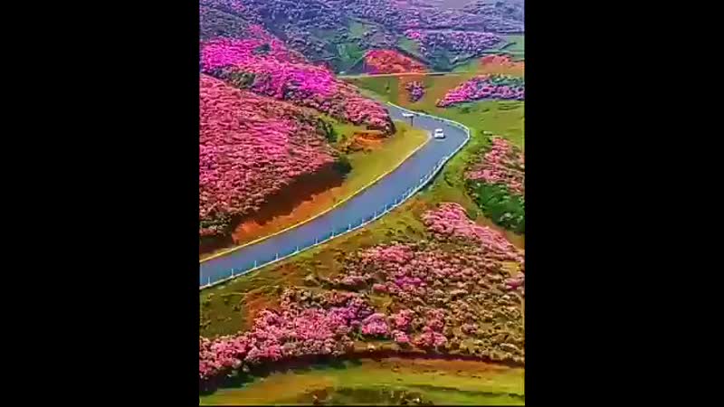 Видео от Olya