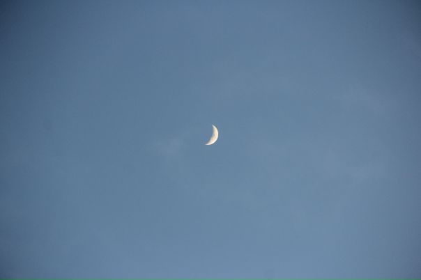 ночное поле. молодая луна. месяц задумчивый. стихотворение и а бунин месяц задумчивый полночь глубокая. сказочная луна.