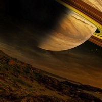 Елена Лисовская | Manaus