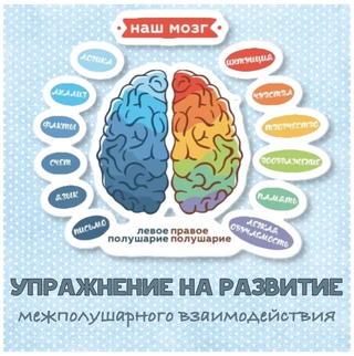Развитие межполушарного взаимодействия проект ЦЕНТР ДЕТСКОЙ НЕЙРОПСИХОЛОГИИ И РАЗВИТИЯ РЕБЕНКА ВКонтакте