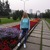 Алиса Недосекова