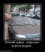 Виктор Тимохин фотография #49 (источник - https://vk.com/id39482106)