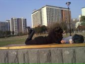 №1 Алина Кениг 19.01: профиль, фото, статус - ВКонтакте