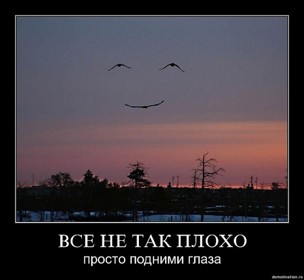 №94, Кеша Васильева №94, Кеша Васильева