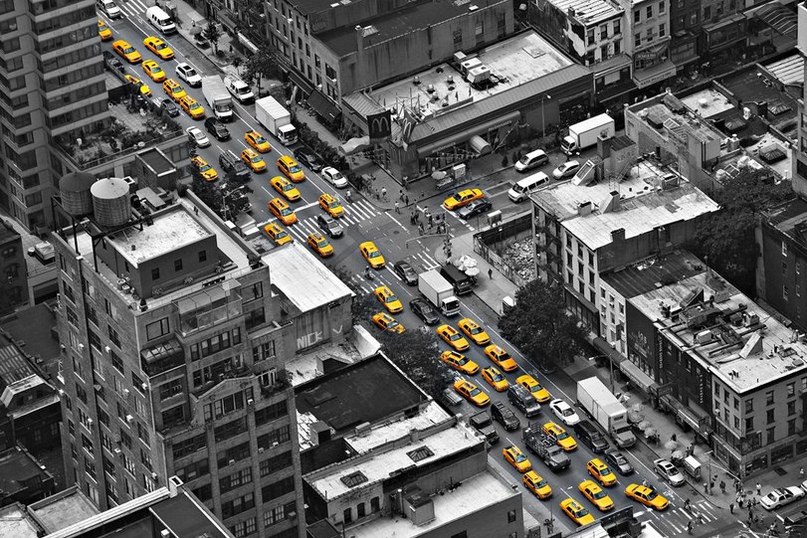 Евгений Волков | 