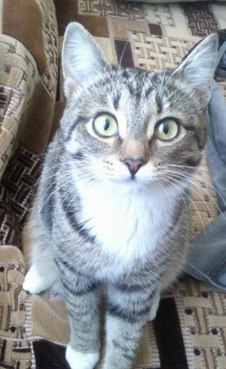 Виктория Гребенщикова | Челябинск