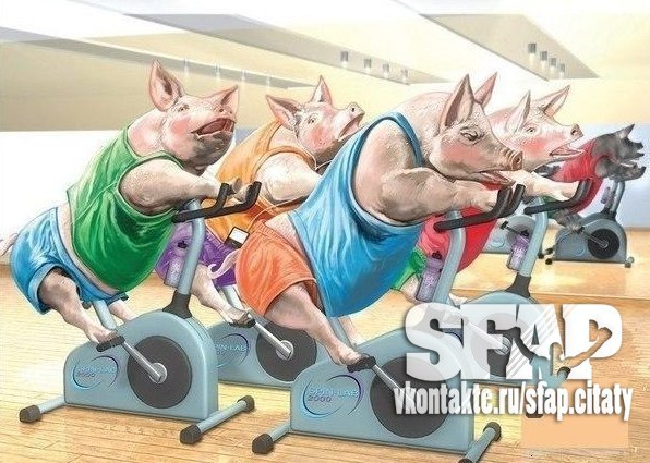 №17, Arina White, Москва №17, Arina White, Москва