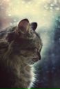 №1 Анна Никитина 10.08: профиль, фото, статус - ВКонтакте №1 Анна Никитина 10.08: профиль, фото, статус - ВКонтакте