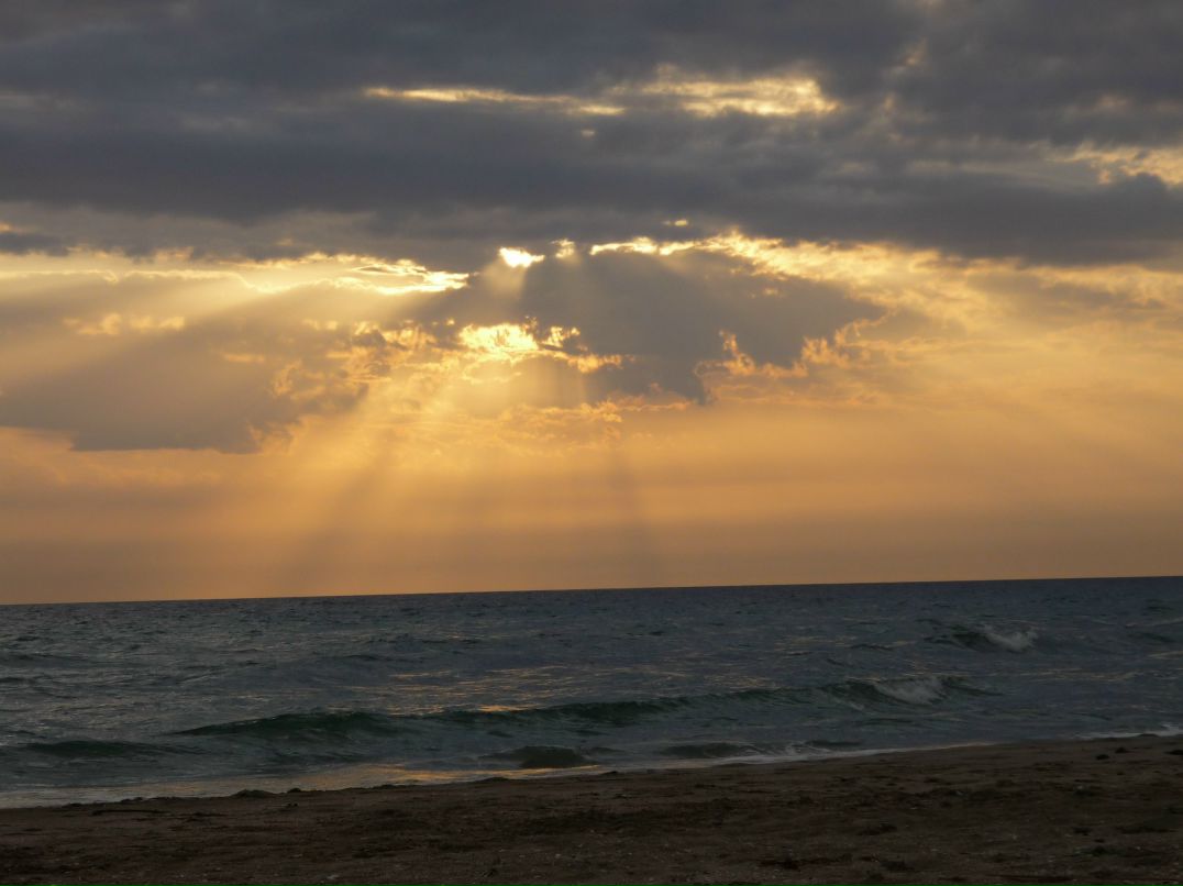 Евгений Кокошкин | Симферополь
