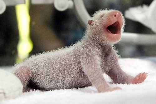 Тамара Михайлова | Санкт-Петербург