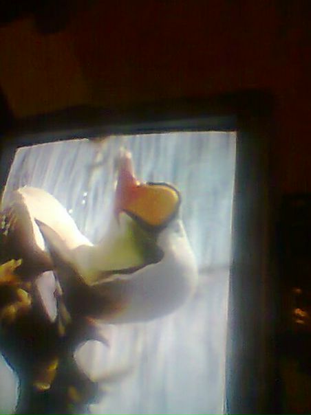 №3, Татьяна Хамидулина-Кондратьева №3, Татьяна Хамидулина-Кондратьева