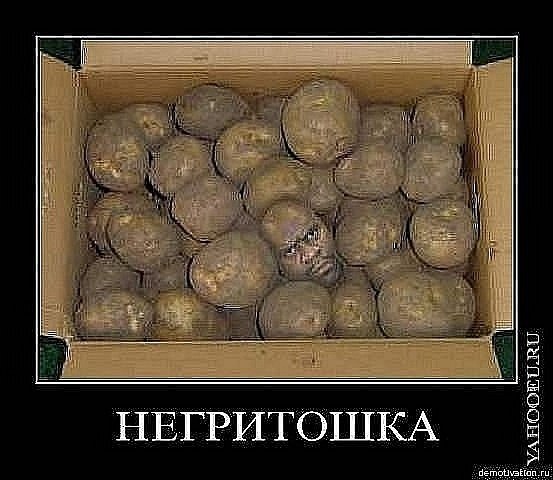 Оля Синица | Киев