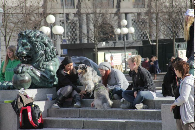 Лена Верещагина | Västerås