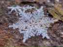 №28 Ирина Иванова : профиль, фото, статус - ВКонтакте