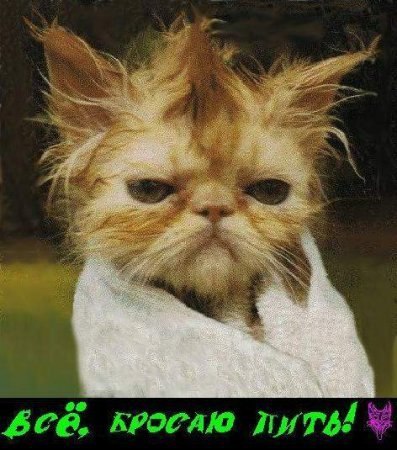 Артур Арутюнов | Екатеринбург