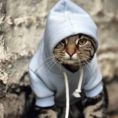 Наталья Петровская | Москва