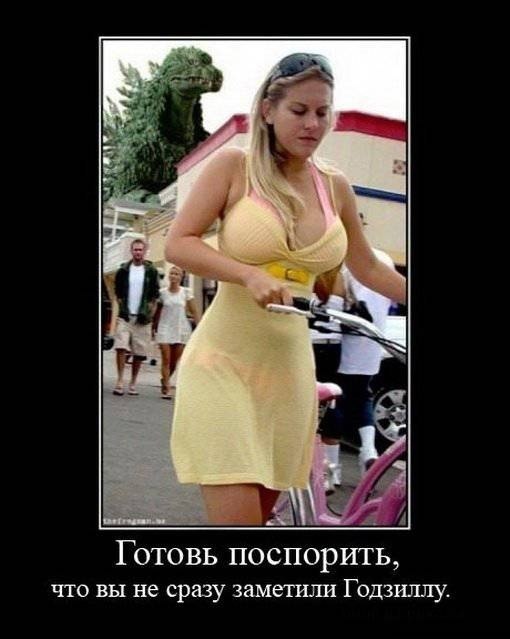 Александр Кнарин | Севастополь