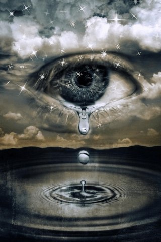 Алёна Трофимова | 