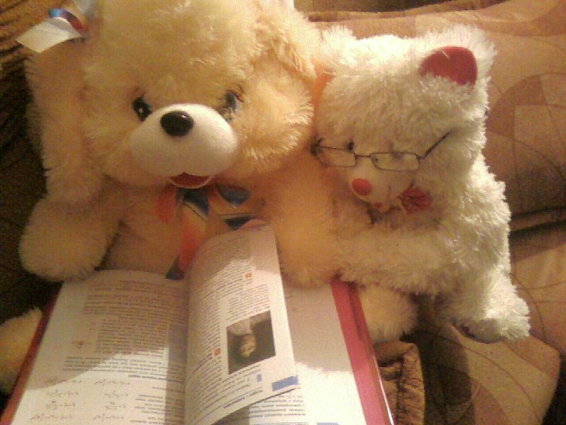 Мар'яна Шкільна | Тернополь